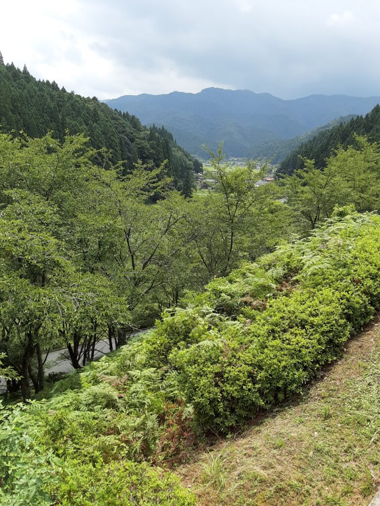 夏休みです！