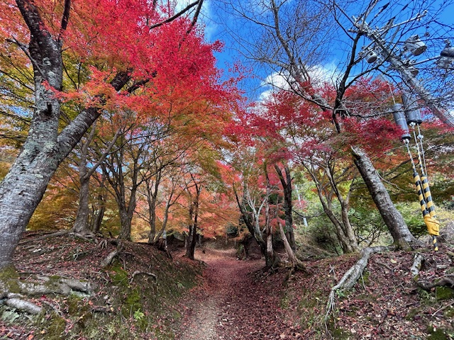 64才社長が仕事をさぼって二王門の紅葉狩りに行ってきたPart2
