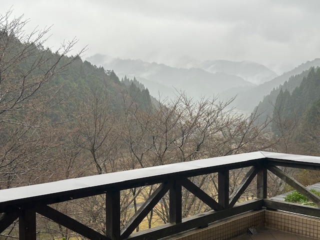 絶景プライベートレストランの紹介と桜開花情報です。
